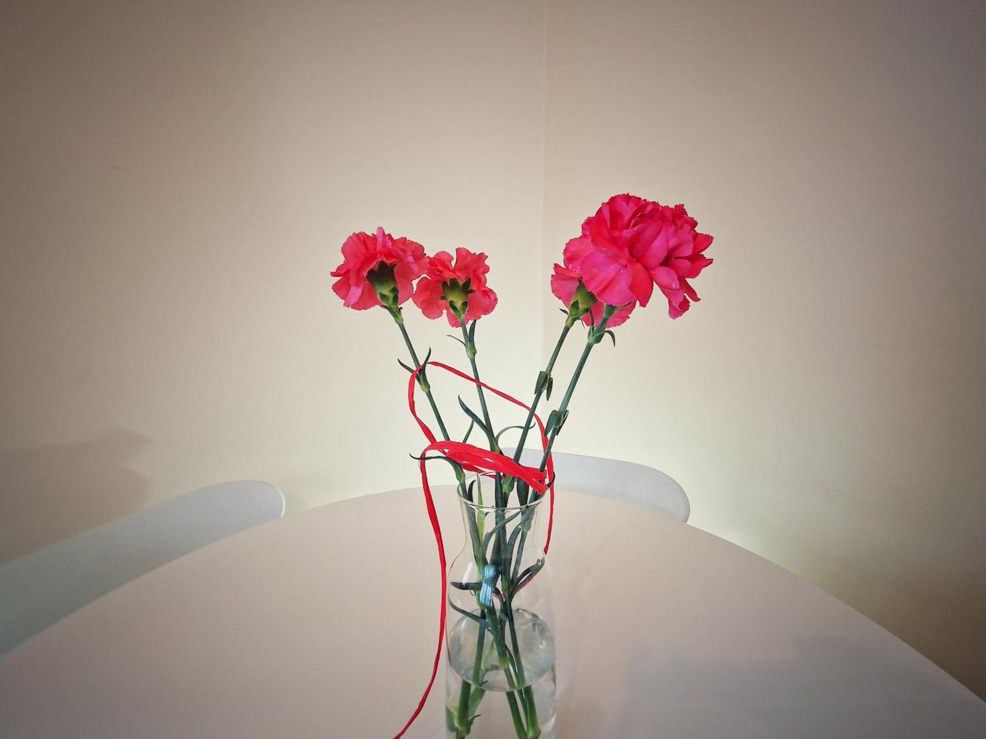 Summer Apartment Przemysl Luaran gambar